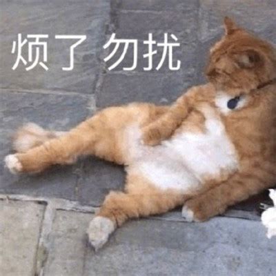 冷漠的表情包图片
