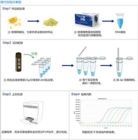 PCR试剂盒的基本原理及基本流程-企业动态-上海莼试生物技术有限公司