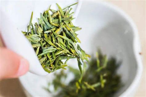 绿茶保存的五大注意事项要知道！-饮茶文化-山西药茶网-茶的味道，药的功效