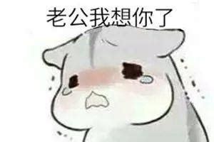 老公表情包图片