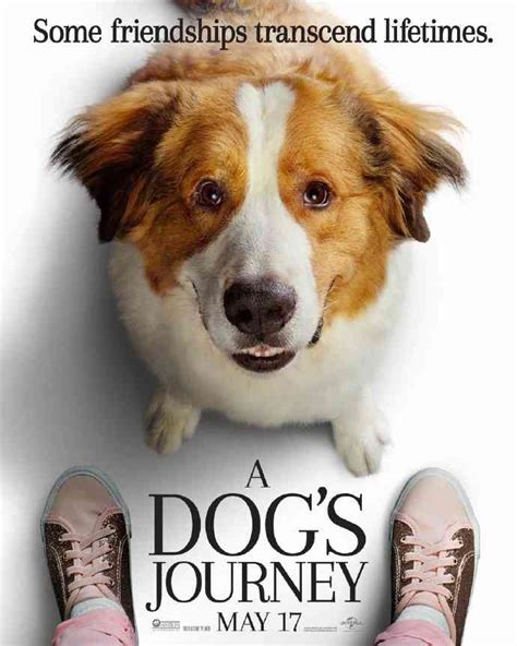 《一条狗的使命》什么时候上映 《一条狗的使命》剧情解析_电影资讯_海峡网