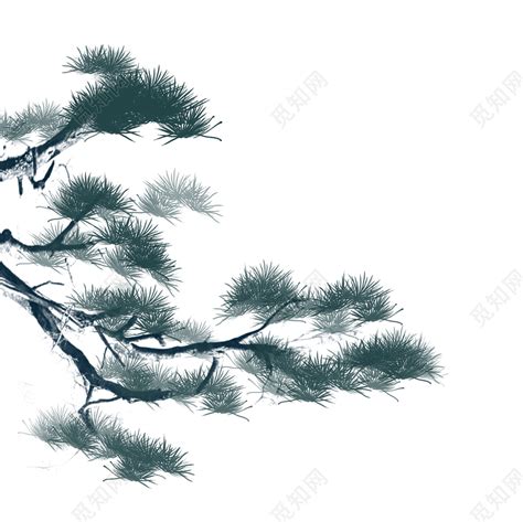 中国山水画松树欣赏|松树|用墨|松针_新浪新闻