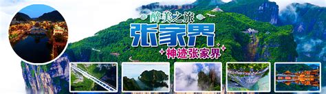 资质荣誉_张家界湘西中旅国际旅行社官方网站