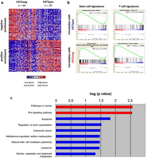 FAT1-dependent gene expression in T-ALL (a) Heatmap of coexpressed top ...