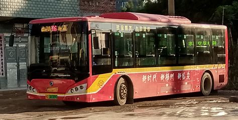 浦东大道部分公交线路回归首日，恢复行驶线路13条 -上海市文旅推广网-上海市文化和旅游局 提供专业文化和旅游及会展信息资讯