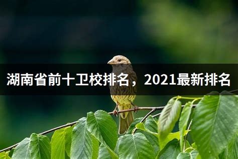 湖南省前十卫校排名，2021最新排名 - 高职高考网