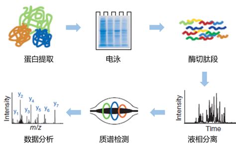 热点分享|CODEX单细胞空间蛋白组学平台助力Multi Omics多组学联合分析-云准医药科技（上海）有限公司