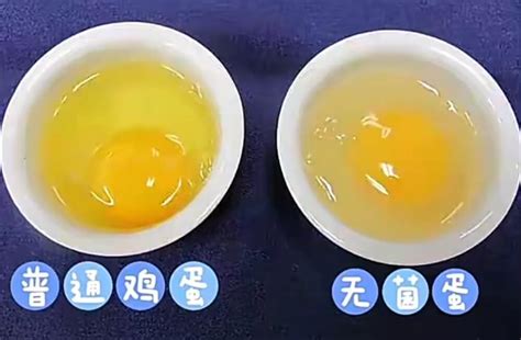 可生食鸡蛋是怎么生产的？可生食鸡蛋和土鸡蛋区别，是智商税吗_9万个为什么