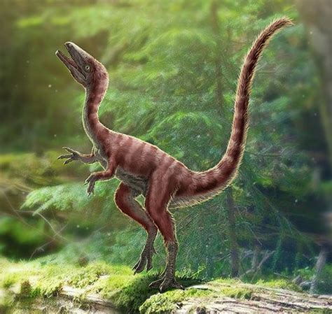 白垩纪时代有哪些恐龙（白垩纪恐龙种类图片大全名字） – 碳资讯