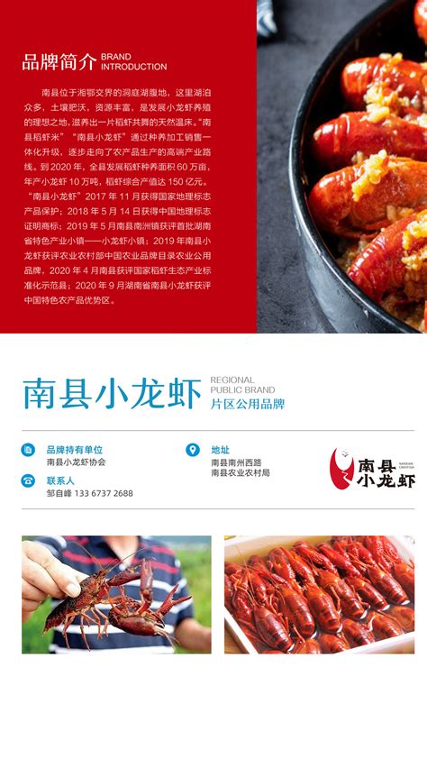 湖南省著名品牌-品牌设计-火星人创意品牌策划-猪八戒网