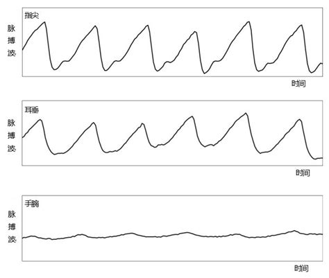 脉搏正常范围：安静心率正常平均约72次/分_知秀网