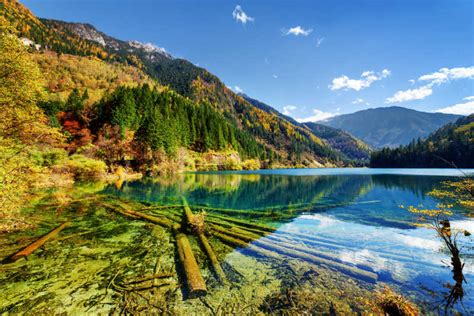 蓝天白云下清澈的湖水图片-清澈的竹湖沉木素材-高清图片-摄影照片-寻图免费打包下载