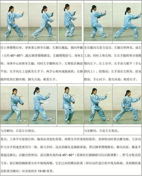太极拳基本功练习·站桩·手法·步法