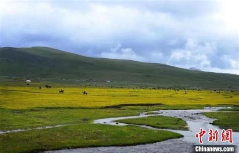 果洛藏族自治州教育局门户网站正式上线--果洛新闻网
