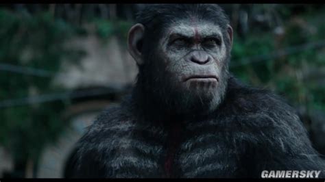 《猩球崛起4》或换导演 “王者”凯撒将霸气回归--中国数字科技馆