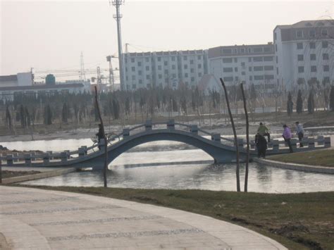 菏泽赵王河上的这些桥——桥如风景 扮美菏泽|赵王河|菏泽|路桥_新浪新闻