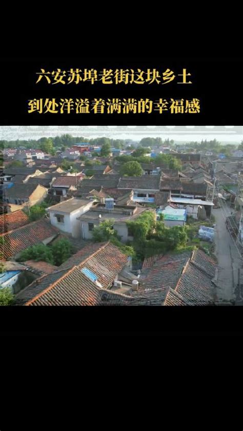 苏埠镇鑫渔网业规划方案批前公示_六安市自然资源和规划局