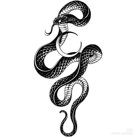 蛇 - 知乎
