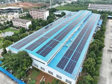 中国一冶承建国内单体最大“渔光一体”项目施工将打造生态农业养殖光伏发电项目标杆