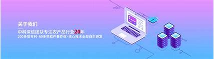 网站优化深圳信科 的图像结果