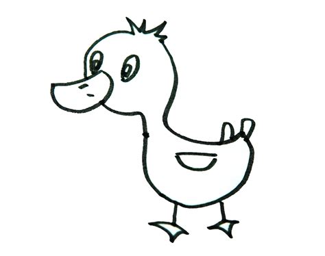 简笔画动物大全-怎么画鸭子的画法步骤图解 - 有点网 - 好手艺