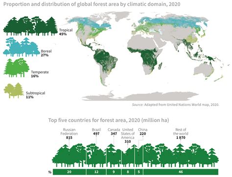 日本森林覆盖率-最新日本森林覆盖率整理解答-全查网