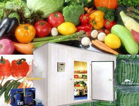 厂家直供水果蔬菜海鲜肉类保鲜库超市商用速冻库低温冷库全套设备-阿里巴巴
