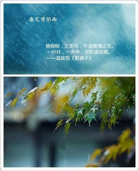 描写雨水优美的诗句集锦