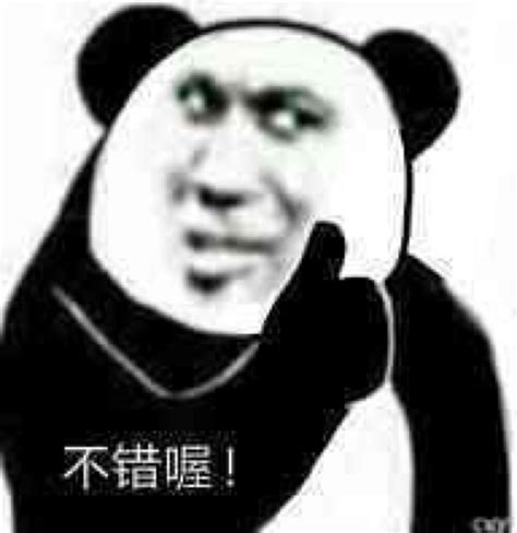 熊猫头表情包求求你图片