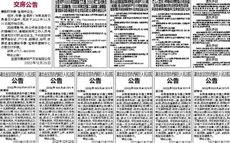 声明公告--四川经济日报