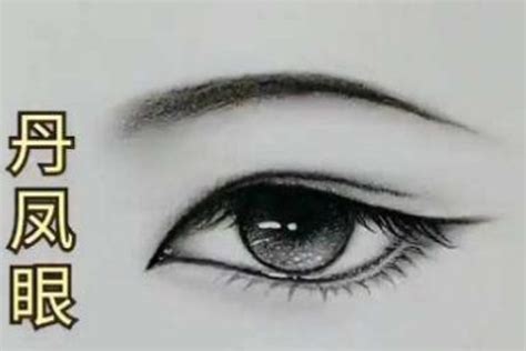 眼型图解与讲解(眼睛是评判美人的标准：丹凤眼魅惑强势，桃花眼妩媚，杏眼显年轻) | 说明书网