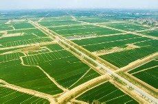 预计到2025年 江西高标准农田建设达到3079万亩凤凰网江西_凤凰网