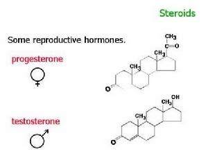 所有合成代谢类固醇的基础，健美必不可少的天然与合成激素——睾酮（上）作用篇 - 知乎