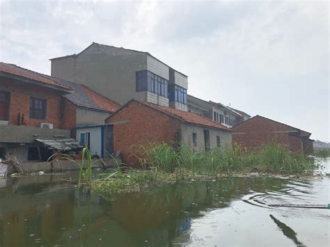 探访洪湖边被洪水围困的渔村：5700亩鱼塘被淹，出门靠划船_中国湖北_中国网