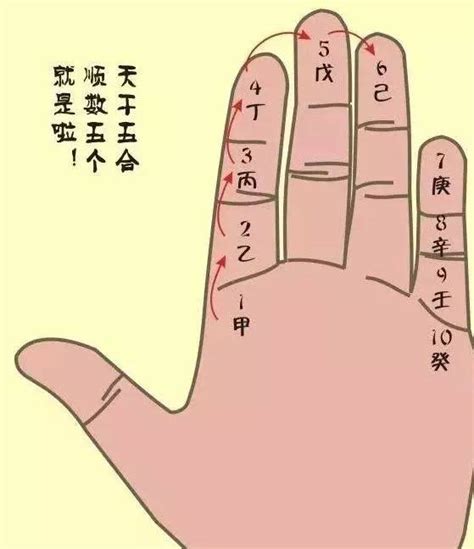 算命掐指一算手势图片,掐指一算配图,算命掐指手势图片(第8页)_大山谷图库