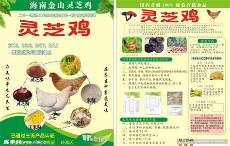 [土鸡批发]土鸡 桂林盛源生态散养灵芝鸡，灵芝喂养，皮脆，肉鲜。价格98元/只 - 惠农网