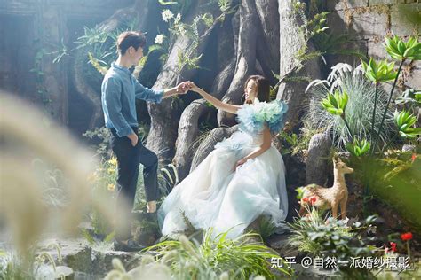 郑州口碑好的婚纱摄影工作室前十名排行榜！这才是我心目中的森系婚纱照🍃自由与浪漫 - 知乎