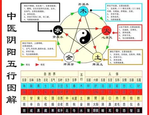 中医五行图完整图表,中医五行,中医五行图的讲解(第5页)_大山谷图库