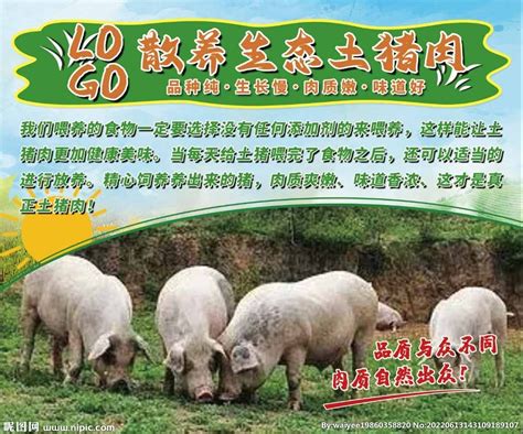 养猪场起名名字大全-中华取名网