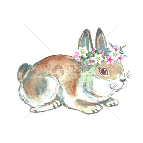 壁纸-手绘卡通-向日葵|女孩|兔子（via 网络… - 堆糖，美图壁纸兴趣社区