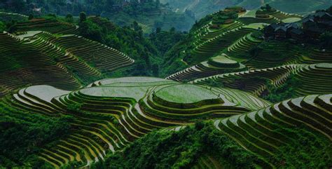 Image result for Longji Terraces, Guangxi Province