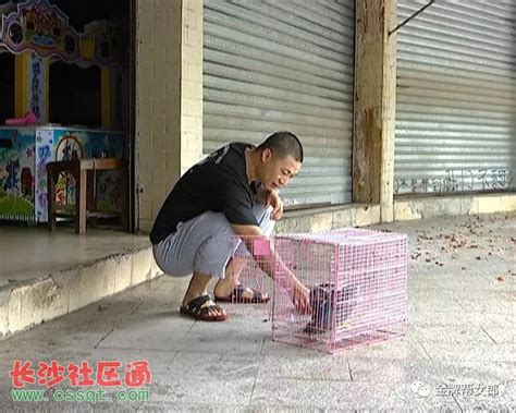 南宁市民捡到受伤小鸟 竟然是保护动物_法制_长沙社区通