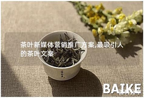 茶叶新媒体营销推广方案,最吸引人的茶叶文案 - 茶叶百科
