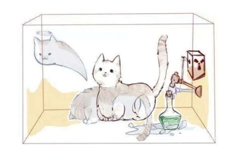 薛定谔的猫|未知的魅力|插画|艺术插画|凹凸葉_原创作品-站酷ZCOOL