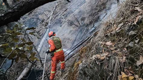 四川雅江森林火灾三线已无明火 过火面积约46公顷 - 关注森林