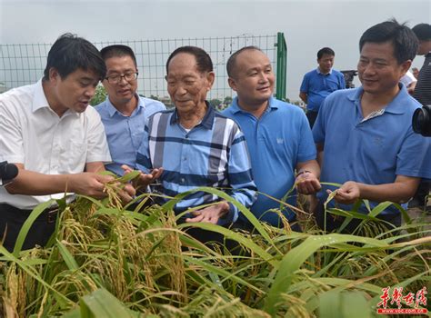 海南建立全球最大野生稻种质资源圃，为水稻育种储备更多优良基因_海南新闻中心_海南在线_海南一家