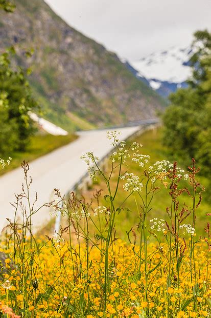 穿过挪威山脉的路美丽的风景旅行旅游挪威山区的道路景观高清图片下载-正版图片300880758-摄图网