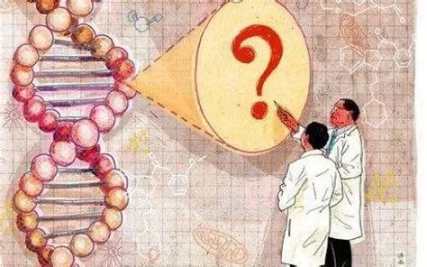 泛癌种个体化治疗基因检测（794基因）-北京基石生命科技有限公司