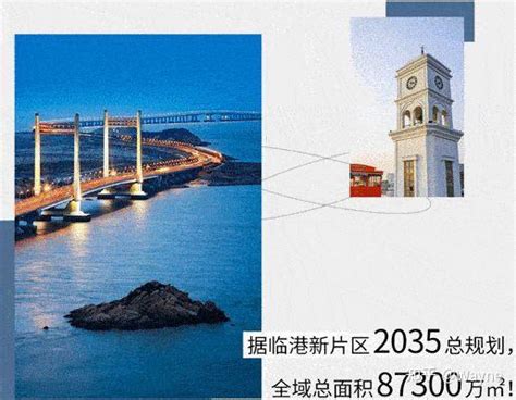 2022年上海临港落户新规：3年居转户、人才直接引进落户!_新片_户口_复印件