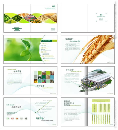 粮油食品公司画册设计图__画册设计_广告设计_设计图库_昵图网nipic.com